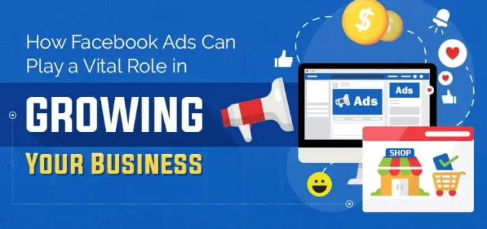 how-facebook-ads-can-play-a-vital-role-in-growing-your-business